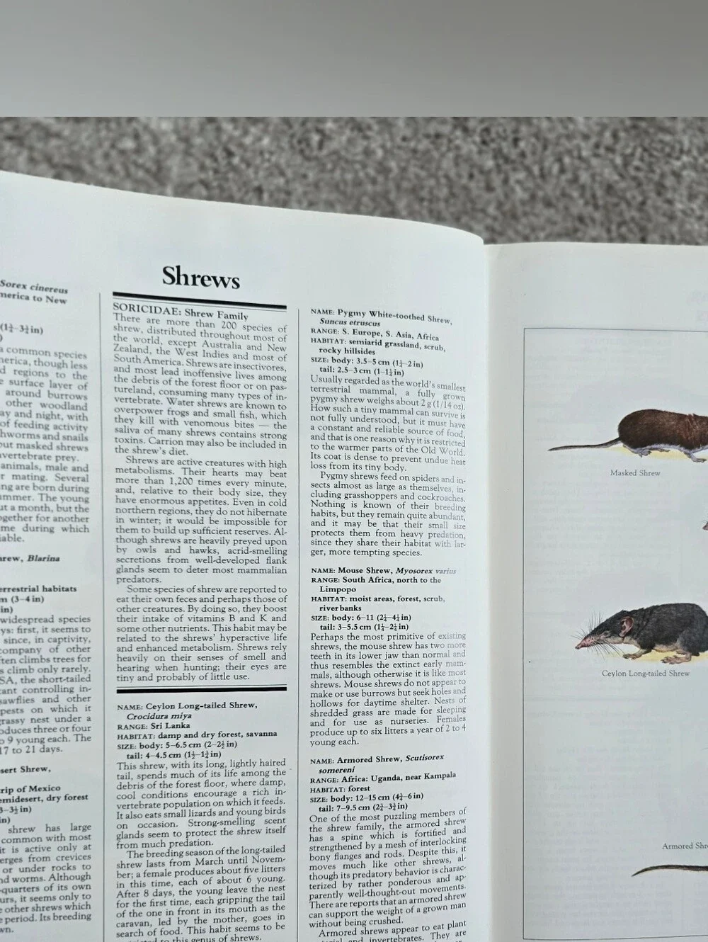 N/A macmillan illustrated